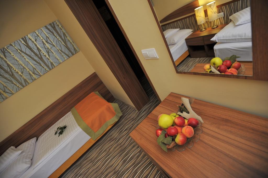 Park Hotel Gyula Pokoj fotografie