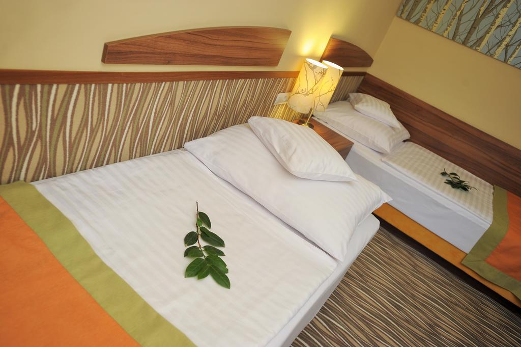 Park Hotel Gyula Pokoj fotografie