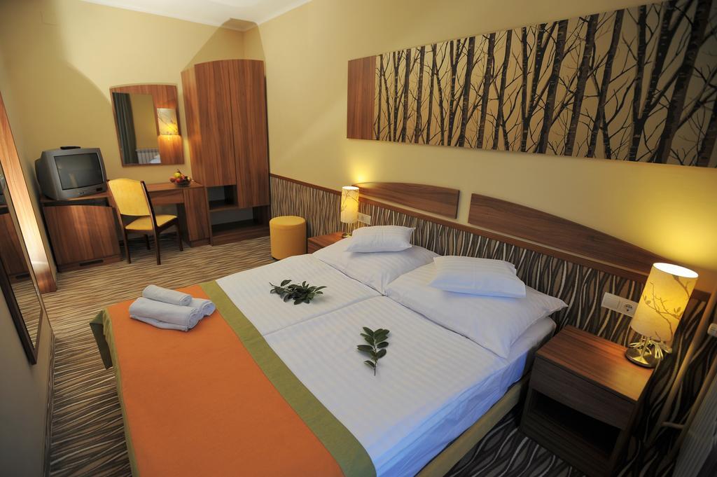 Park Hotel Gyula Pokoj fotografie