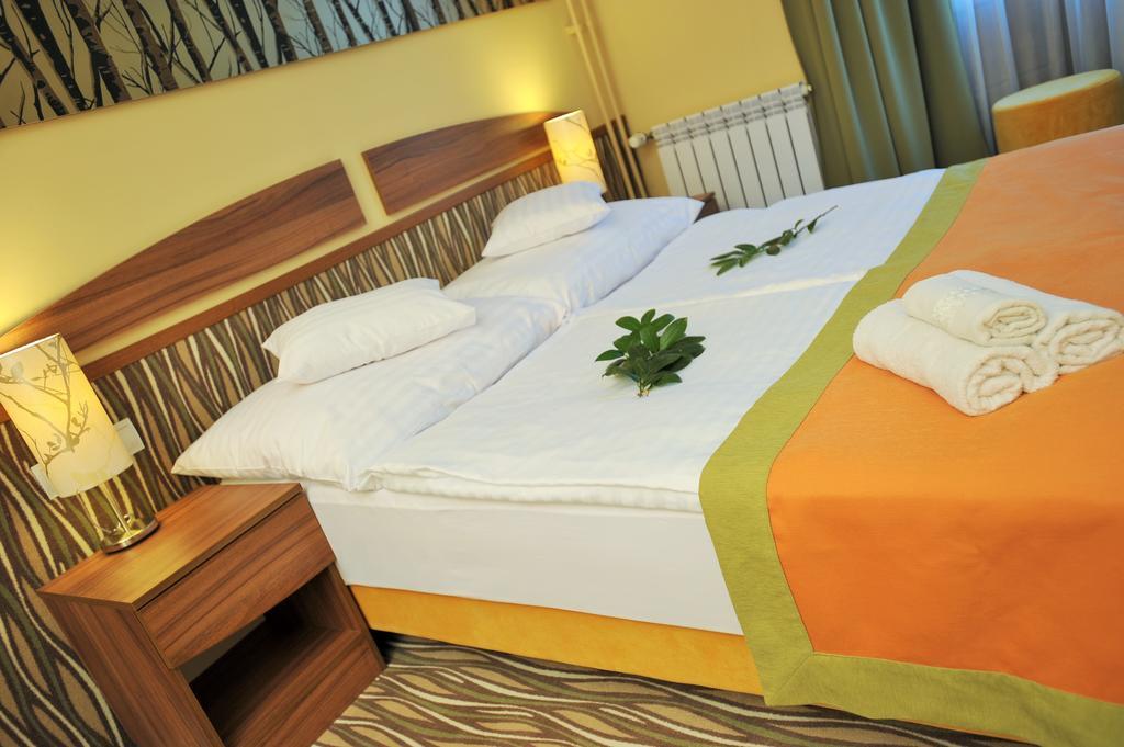 Park Hotel Gyula Pokoj fotografie
